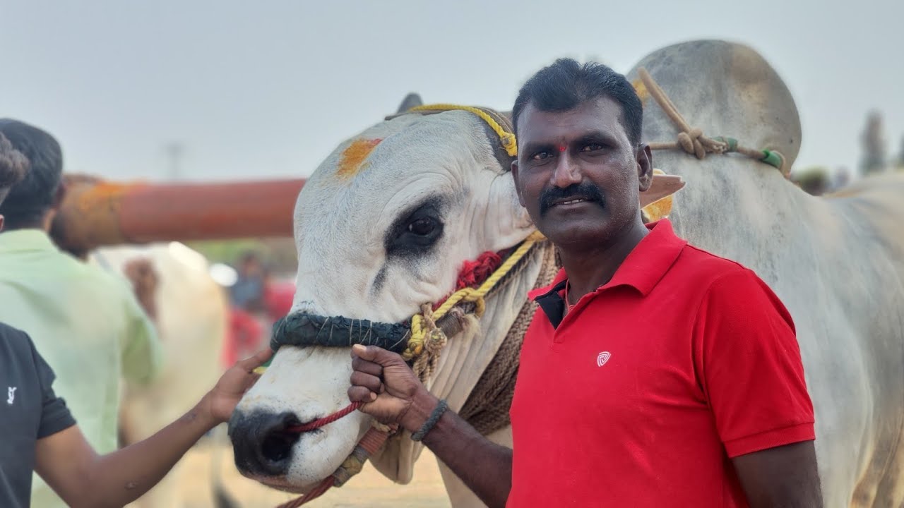 చక్రాయపేట గ్రామం న్యూ కేటగిరీ 3వ జత చాగం రెడ్డి భాస్కర్ రెడ్డి 💥💥💥💥