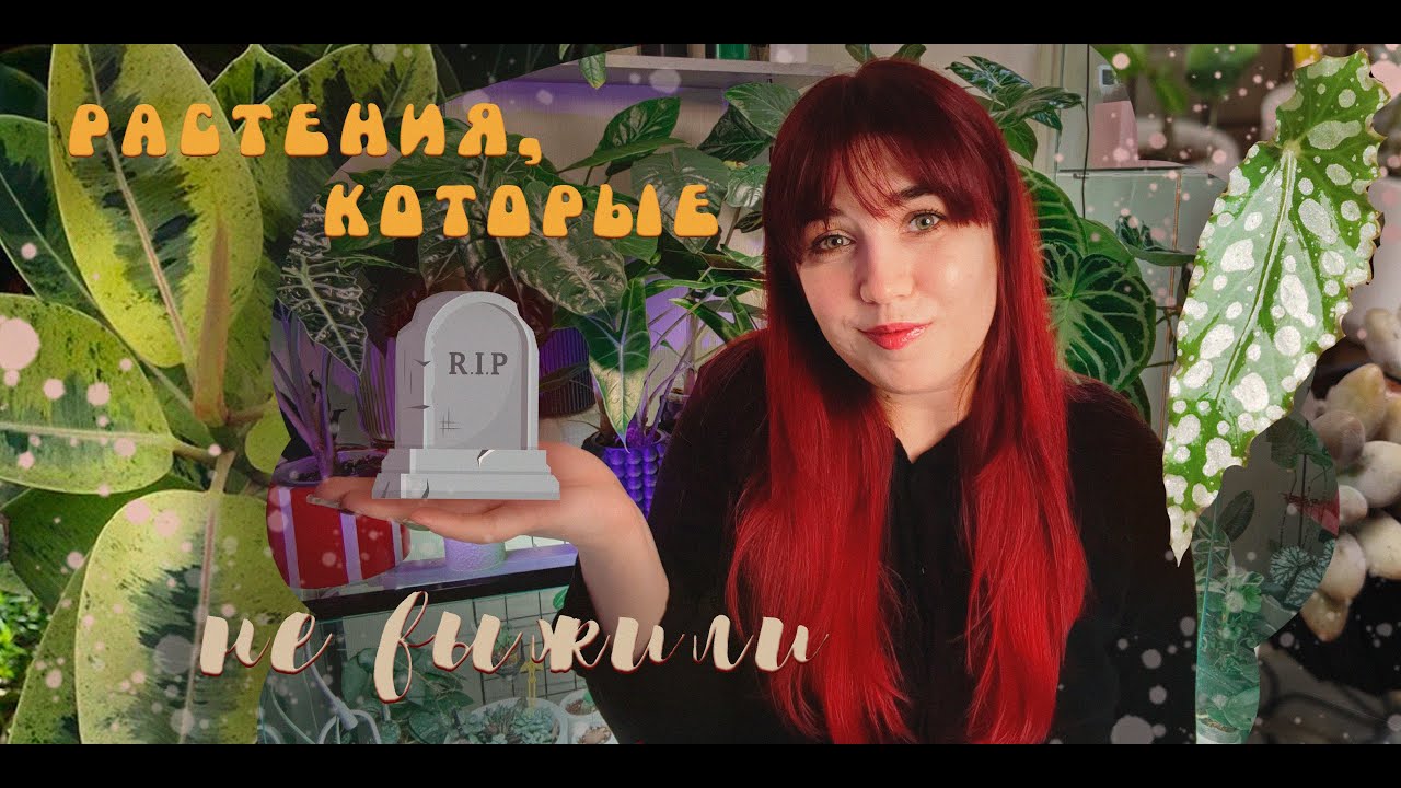 Растения, которые НЕ ВЫЖИЛИ💔