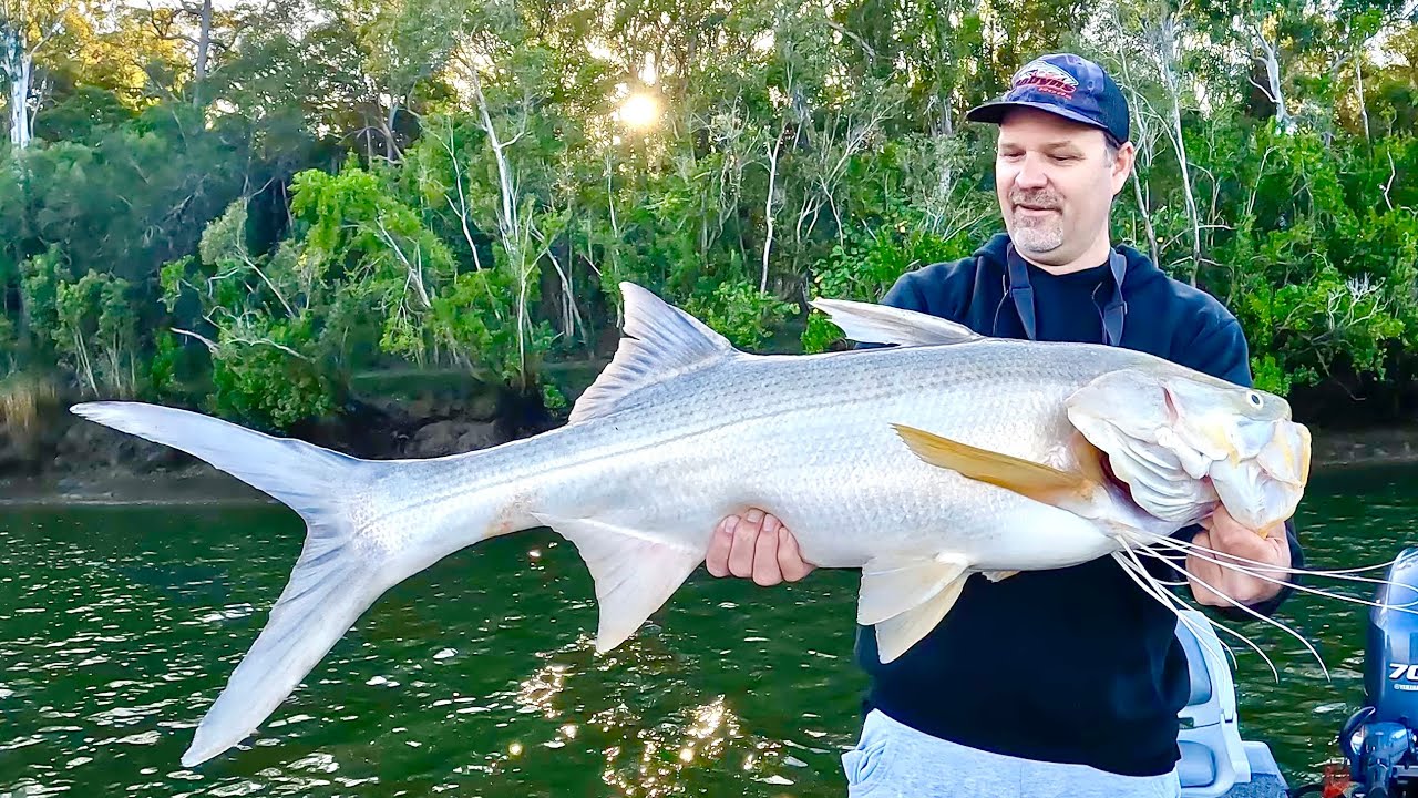 Soft vibes and BIG THREADFIN SALMON