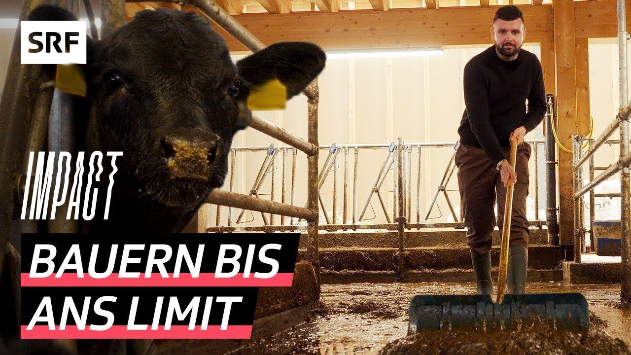 Depression und Burnout in der Landwirtschaft – Warum sind Bauern besonders betroffen? | Impact | SRF