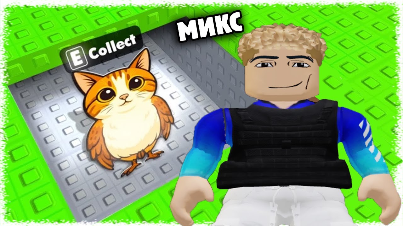 Құпия есікті тапсаң Meowl Брейнротын береді | Брейнроттарды ізде !!!
