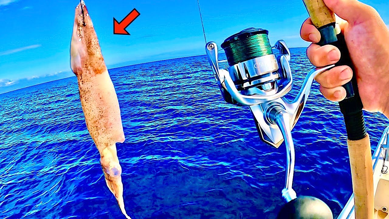 Fishing with SQUID! in 80' DEEP for my DINNER in the GULF!