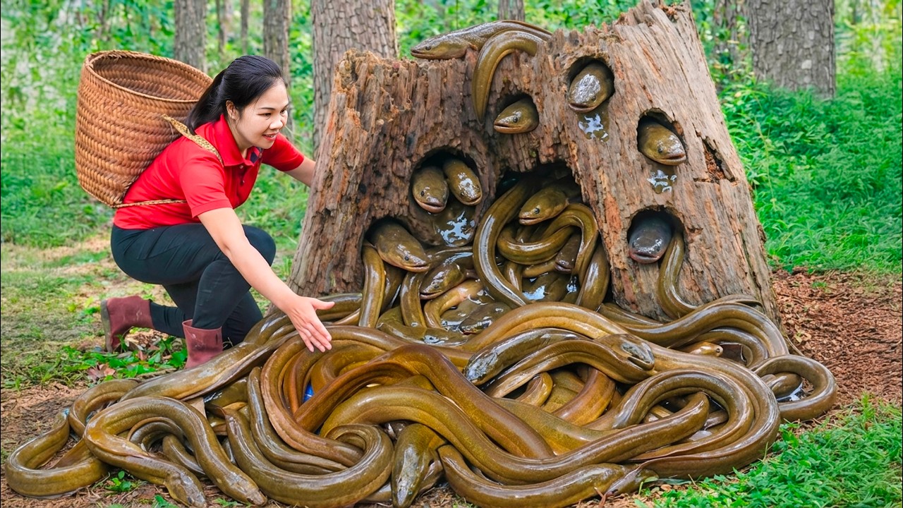 Harvest 1000+ Giant Root Eels & Go to Market Sell | 125 Days From Egg To Survivor | Linh Harvesting