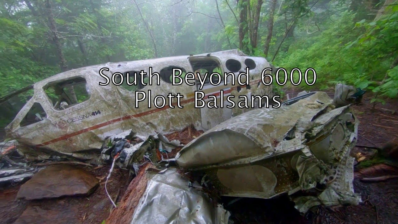 South Beyond 6000 Plott Balsams 🇺🇸