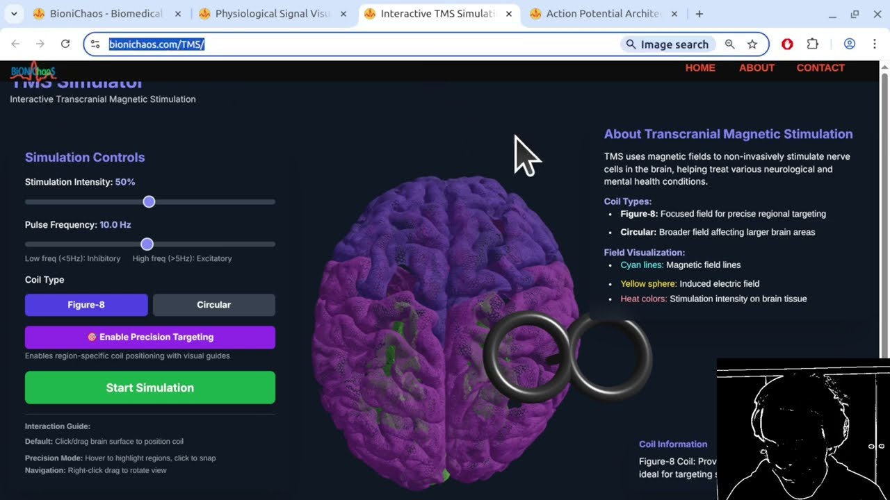 Interactive Transcranial Magnetic Stimulation (TMS) Simulation Deep Dive