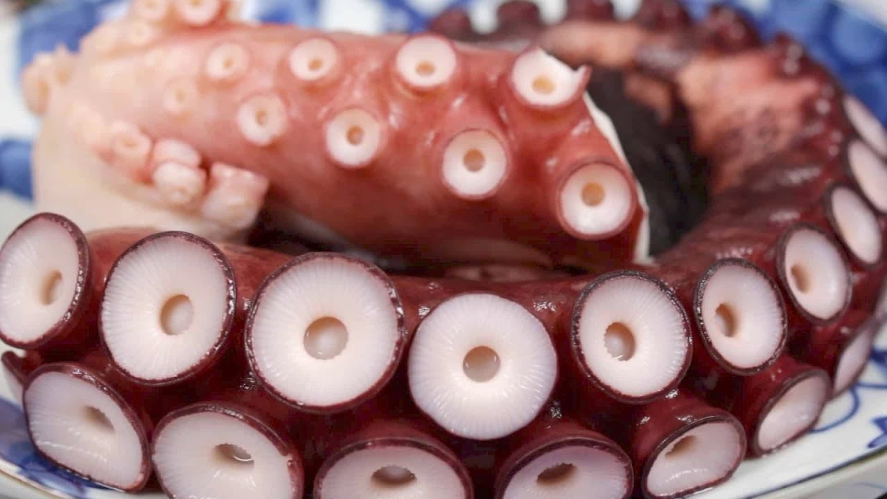 COMO COCER PERFECTAMENTE UN PULPO