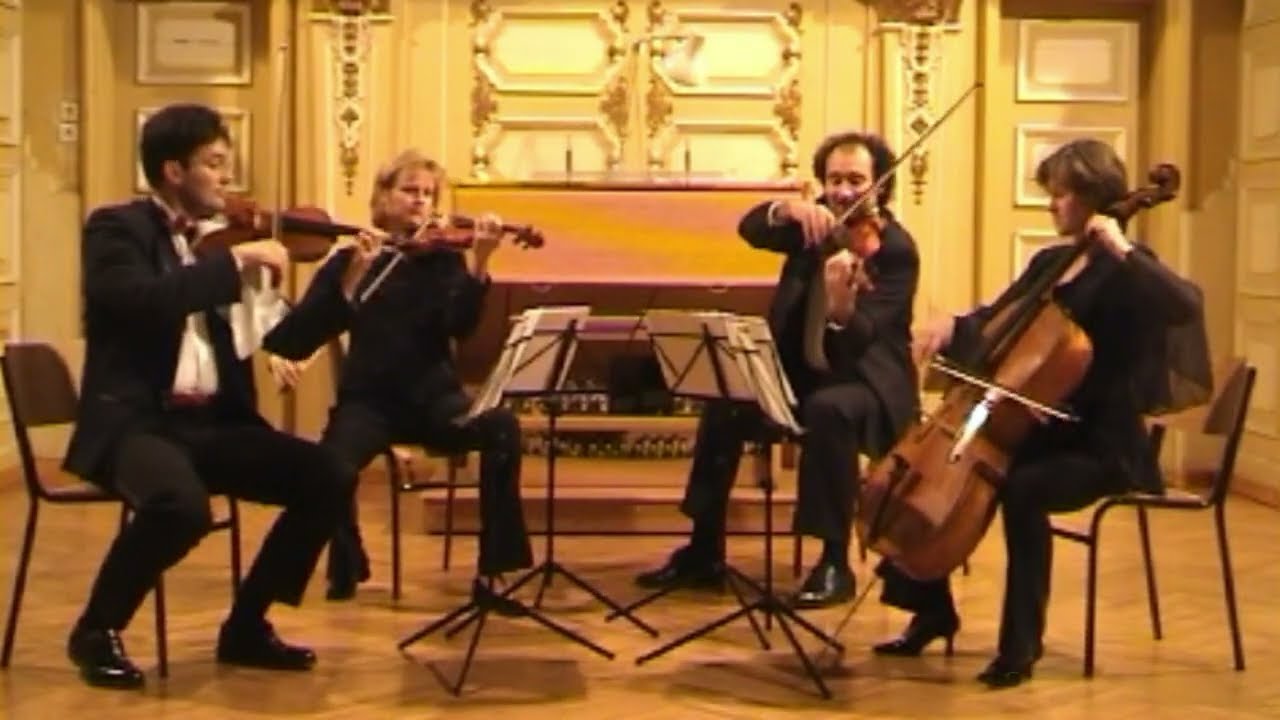Gershwin - He loves and she loves (Anima String Quartet)