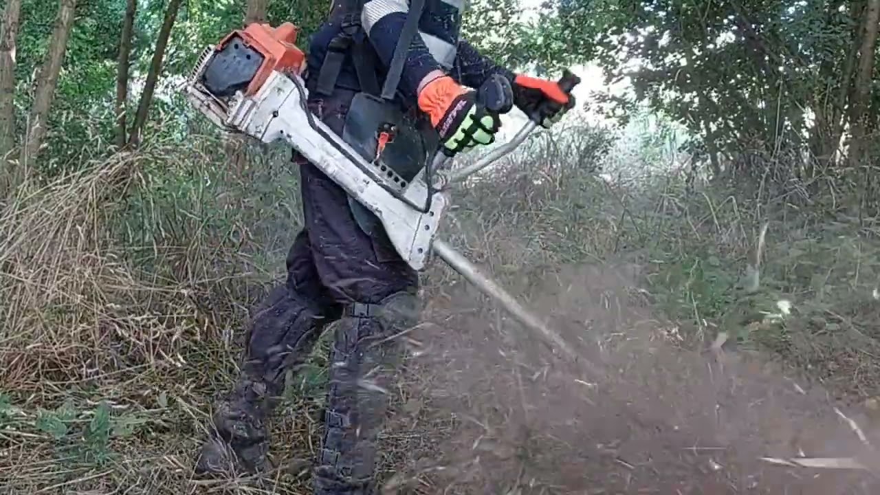 Stihl Fs550 рубит орешник, грецкий орех и акацию