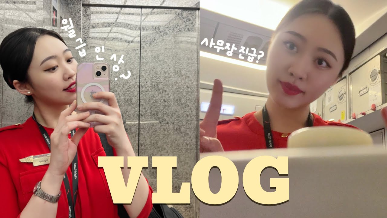월급 올라서 신난 외항사 승무원✈️ 사무장 업그레이드 메일, 비행 일상 모음, 승무원 브이로그, UAE 일상, 승무원 일상