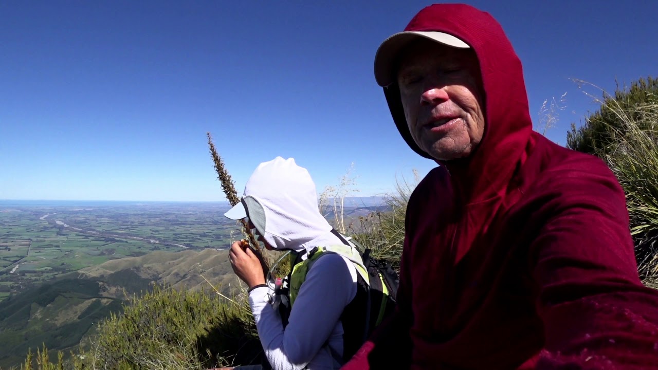 Our hike up Little Mt Peel, 2019
