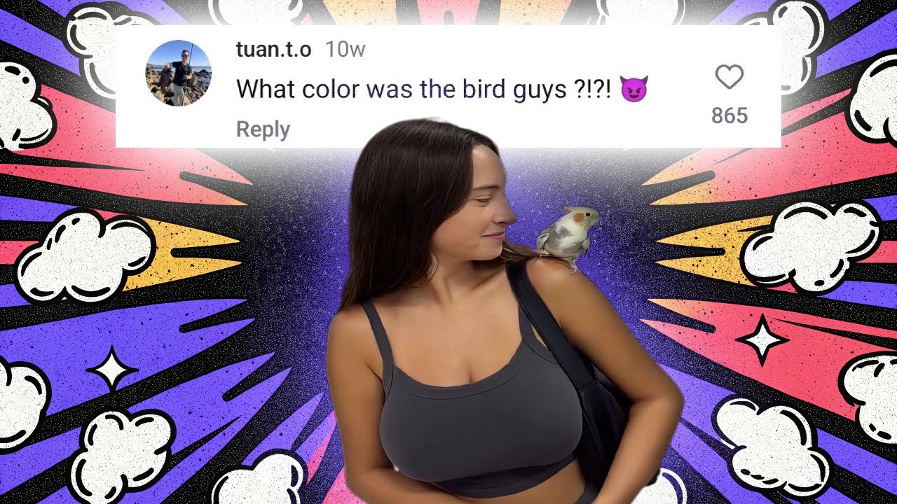 What Color Was The Bird Guys?!