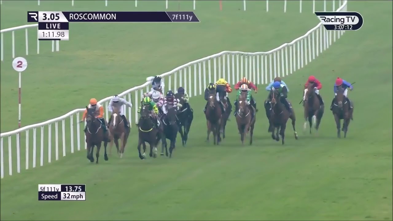 Manhattan Dandy Roscommon Oct 13 2025
