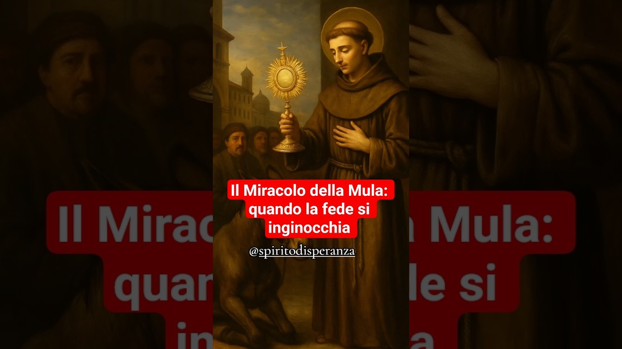 Conosci il Miracolo della Mula? #amen #fede #santi #santantonio #speranza #fedeindio #fedecattolica