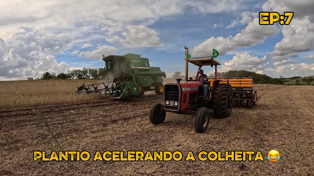 MEU IRMÃO QUASE FERVEU A 1175 