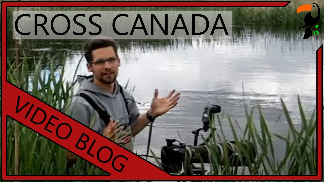 Video Blog - Photographing Birds Across Canada - Part 2 (By Wildlife Photographer Glenn Bartley)