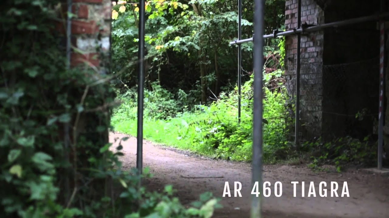 Mango Bikes Point AR. All Round Bike Overview