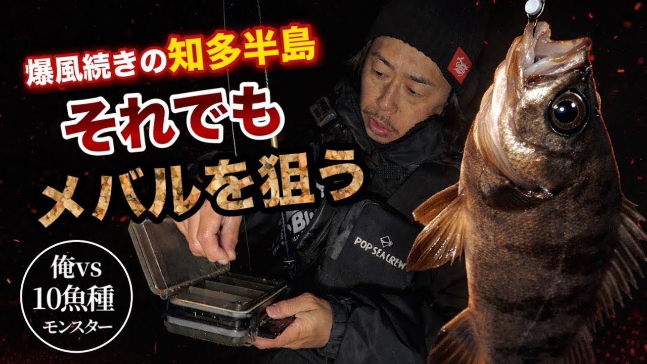 【俺vs10魚種モンスター】爆風続きの知多半島　それでもメバルを狙う
