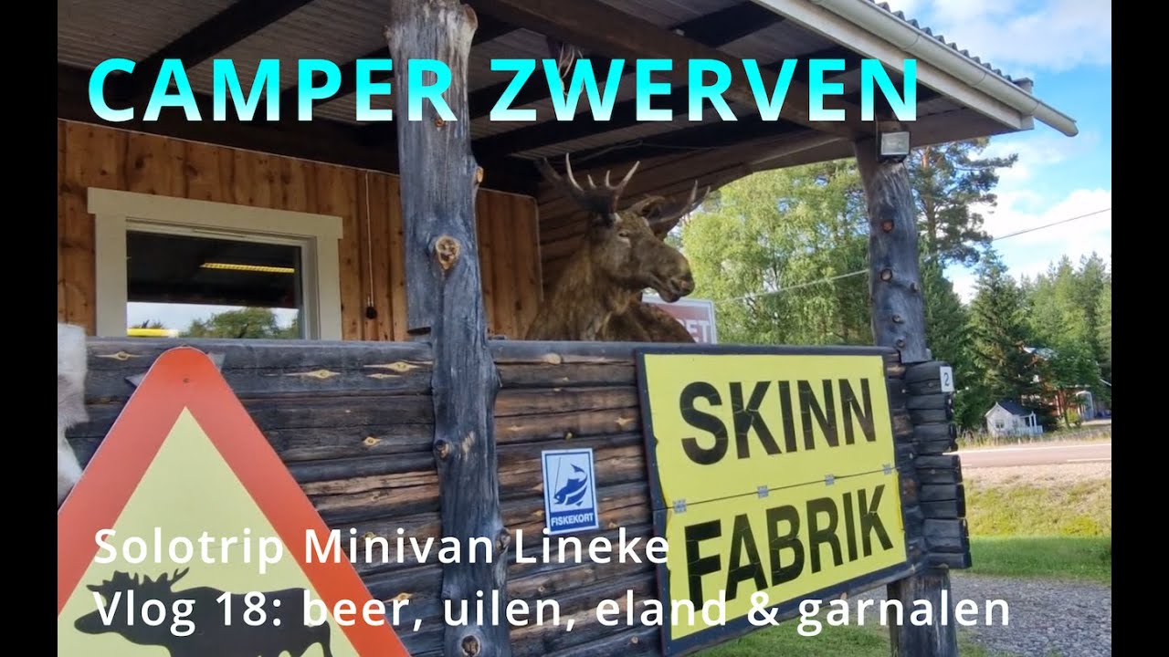 CAMPER ZWERVEN Solotrip Minican Lineke vlog 18: Beer, uilen, eland & garnalen