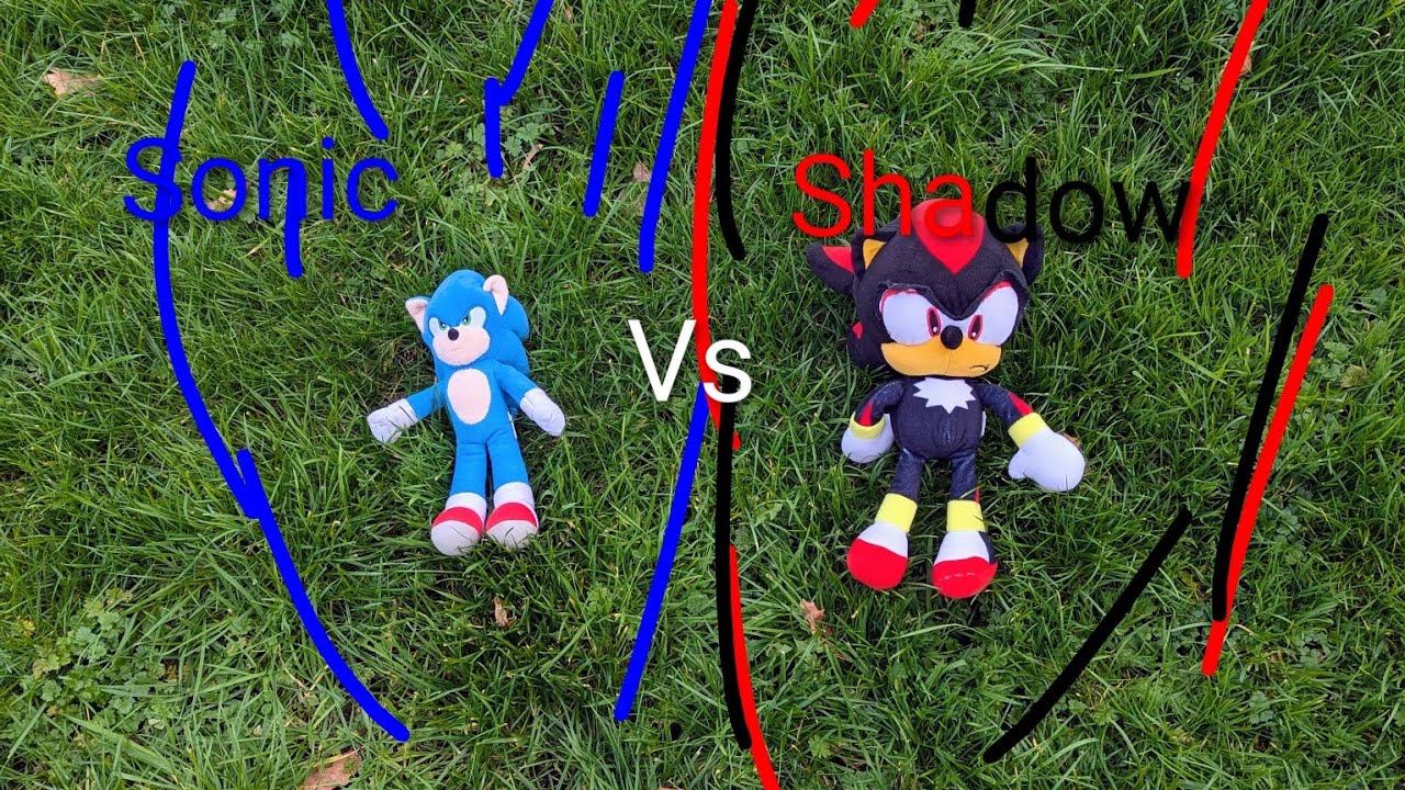 Sonic Vs Shadow