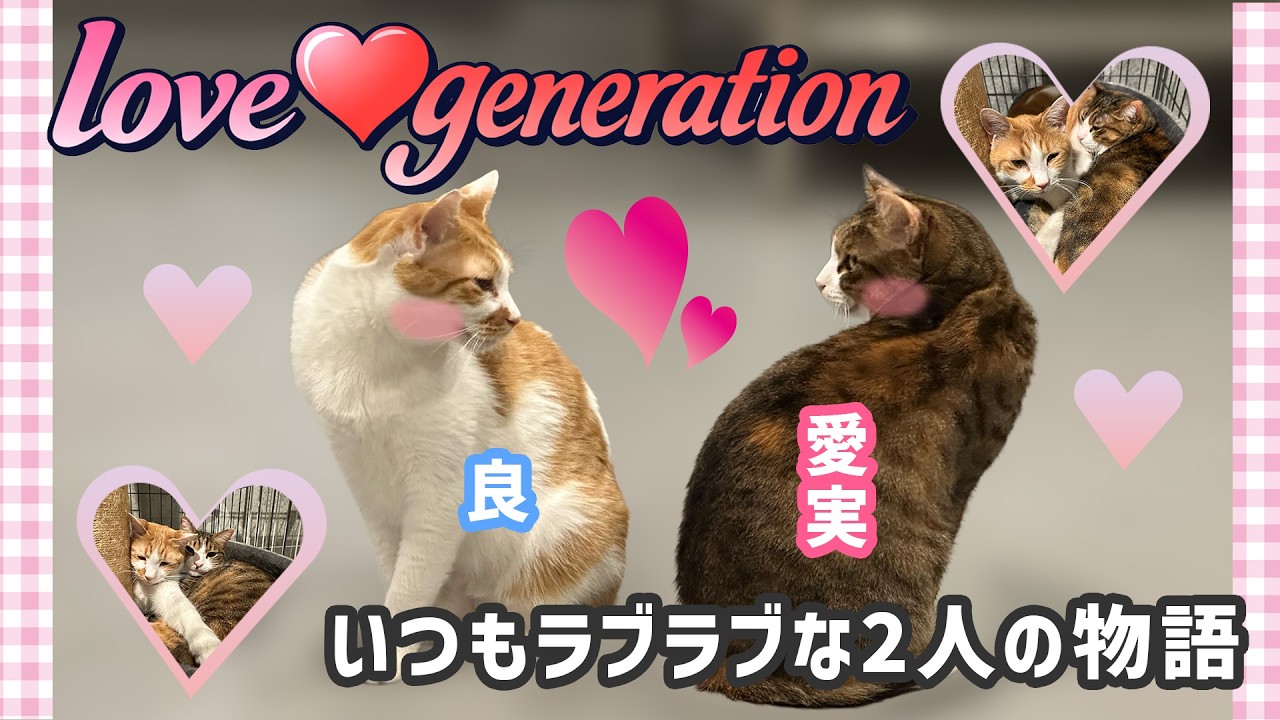 【カップル誕生♡】おすすめペア特集！！！