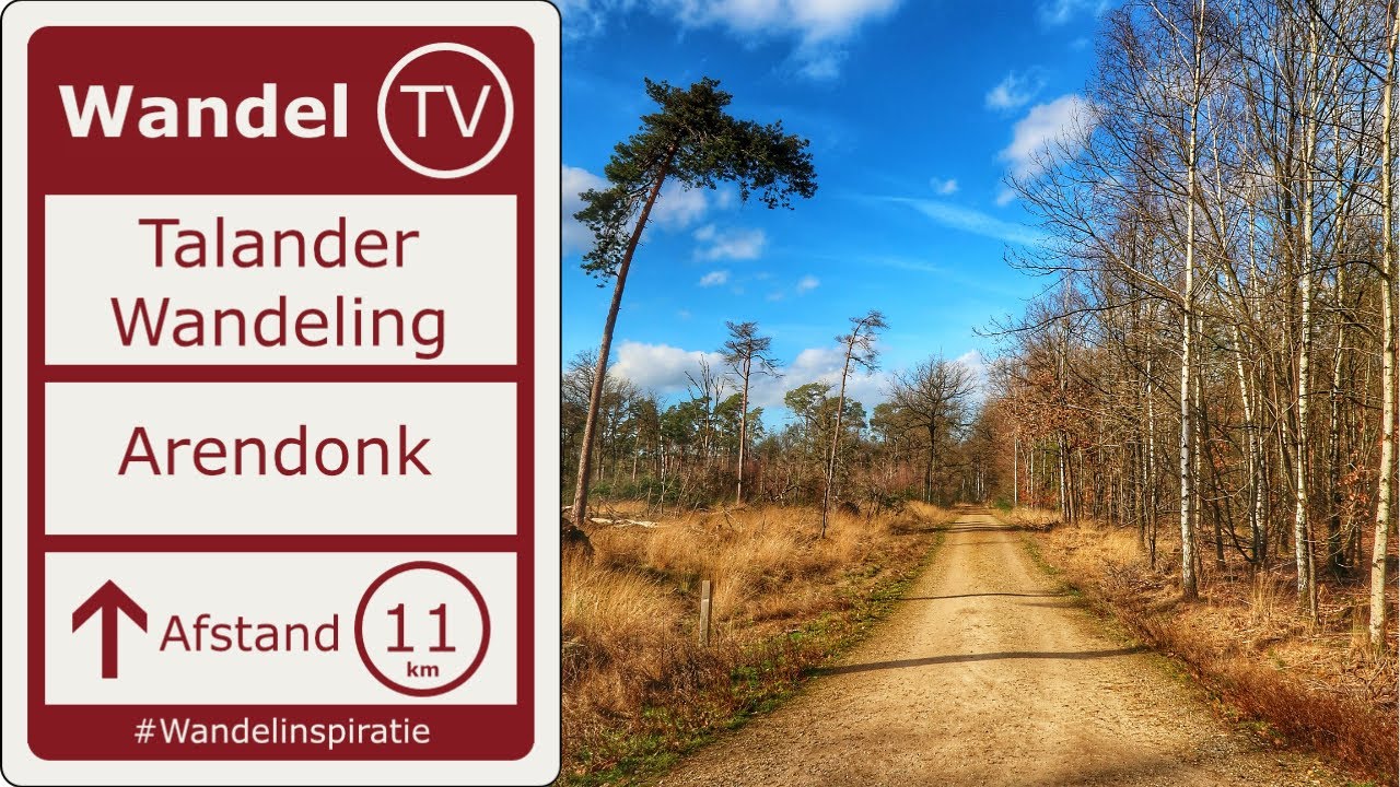 Talanderwandeling Arendonk | Natuurgebied Hoge Vijvers | Wandel TV