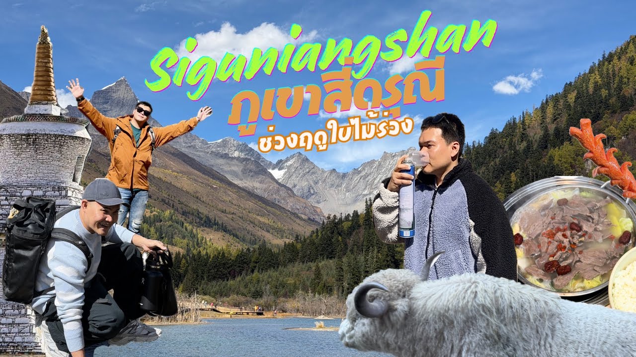 Siguniangshan, China : เที่ยวภูเขาสี่ดรุณีในวันท้องฟ้าเปิดช่วงฤดูใบไม้ร่วง ชิมหม้อไฟเนื้อจามรี