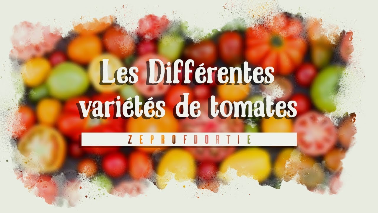 les meilleures variétés de tomates 🍅🍅