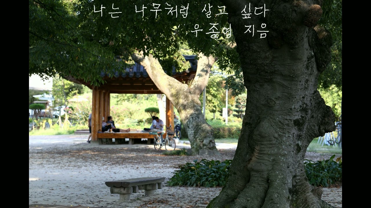 나는 나무처럼 살고 싶다/우종영 지음
