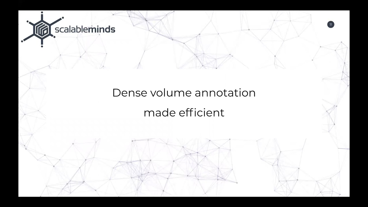 AILS Talk: Annotation techniques for large-scale Volume EM datasets