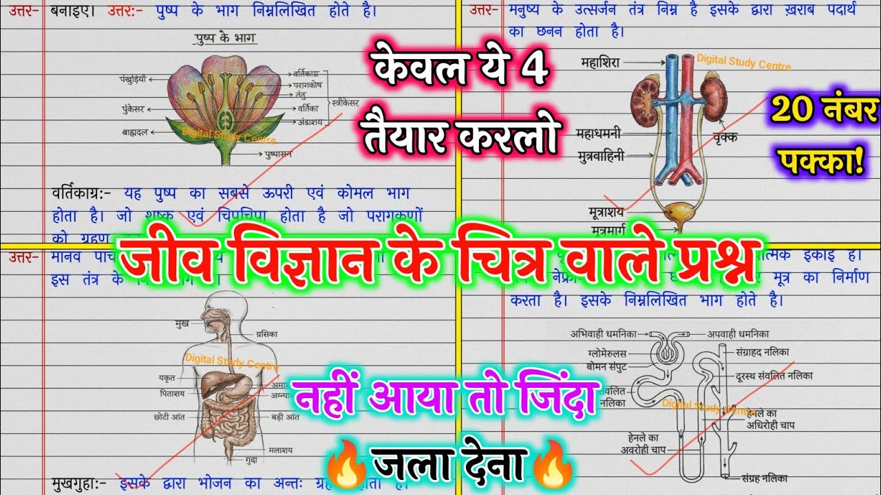 कक्षा 10 जीव विज्ञान के चित्र वाले प्रश्न 2026 | Class 10th Science Important Diagram | ये 100% आएगा