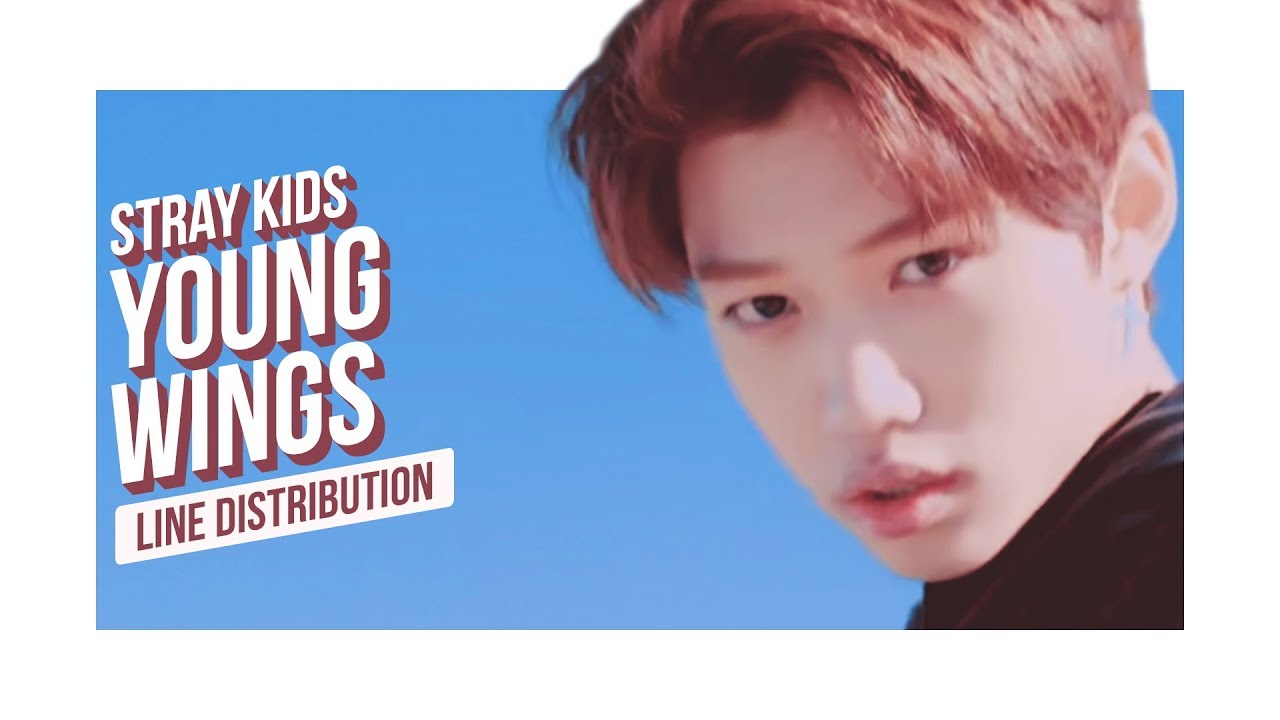 Stray Kids - Young Wings Line Distribution (Color Coded) | 스트레이 키즈 - 어린 날개