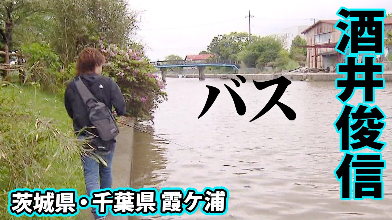 オカッパリの聖地・霞ヶ浦で春のデカバスを狙う！ 『バスギャラリー』【釣りビジョン】
