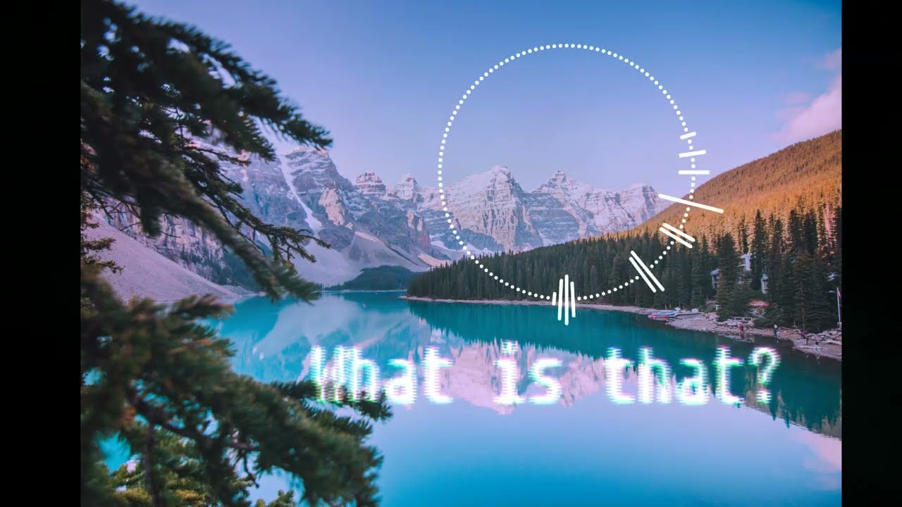 DJ Kiwi - What is that? (Official)