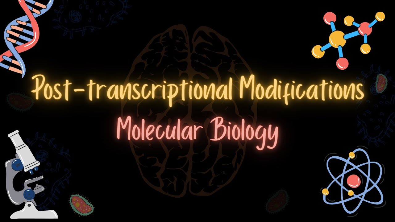 Post-Transcriptional modification _عمليات مابعد الانتساخ _MOLECULAR BIOLOGY _تعلم بالعربي