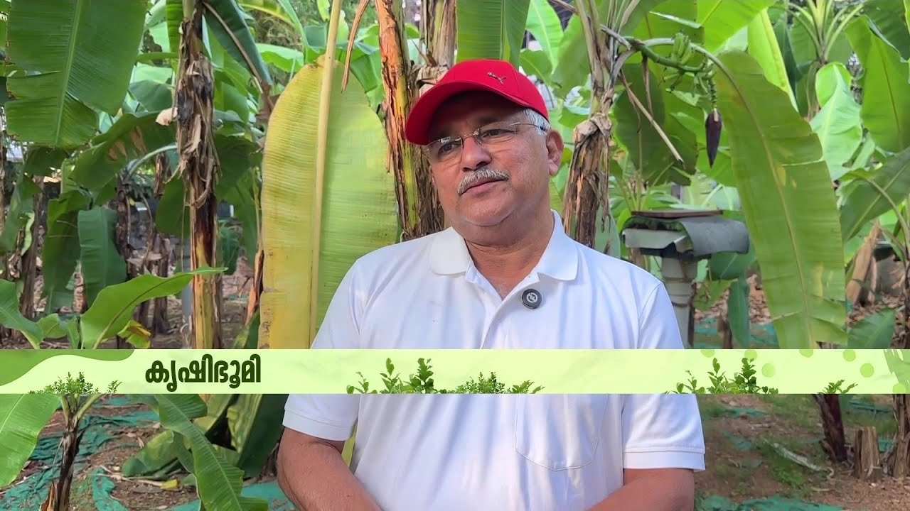 ഡോക്ടര്‍ ജീവിതത്തിന്റെ ടെന്‍ഷന്‍ കുറയ്ക്കാന്‍ കൃഷി; കൊച്ചിയിലെ മാത്യു ഡോക്ടറുടെ കൃഷി കാഴ്ചകള്‍
