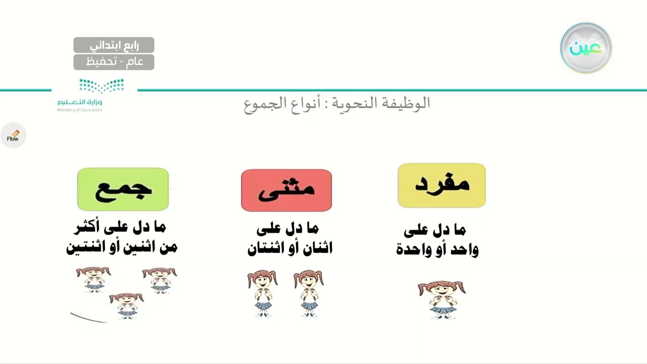 الوظيفة النحوية : أنواع الجموع (١) - لغتي الجميلة - رابع ابتدائي