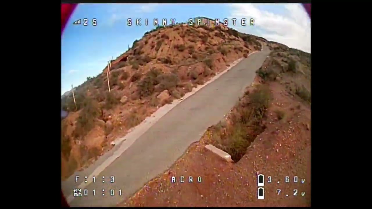 Skinny Spinster FPV: Monday Mash Up