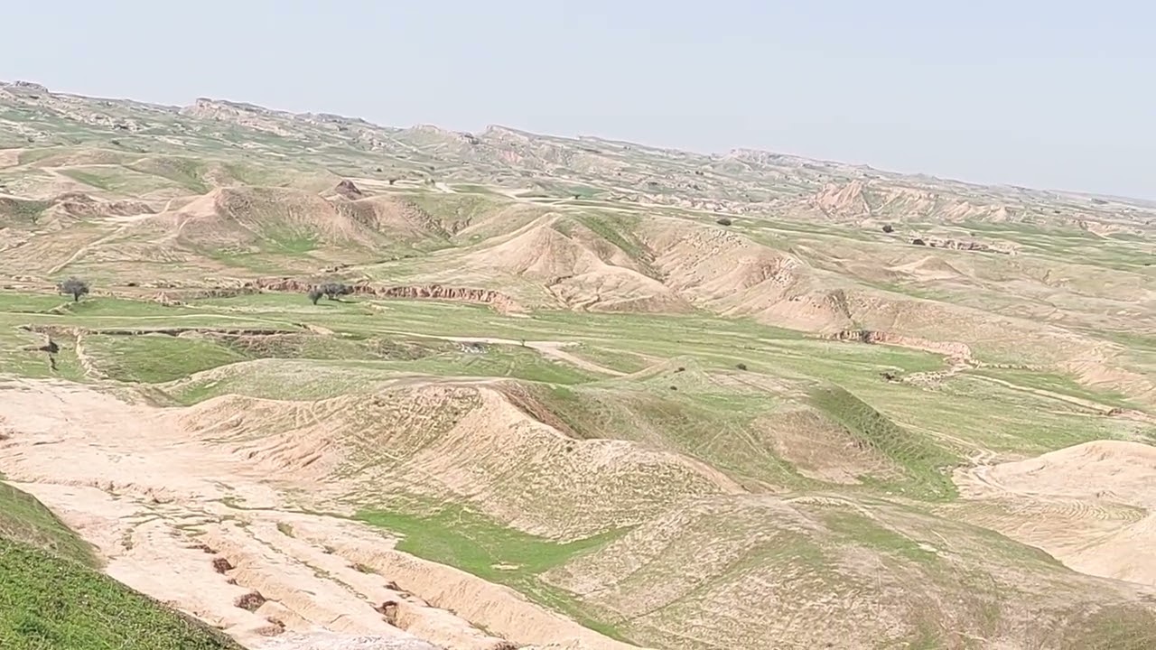 جمعه  24  بهمن  1404 