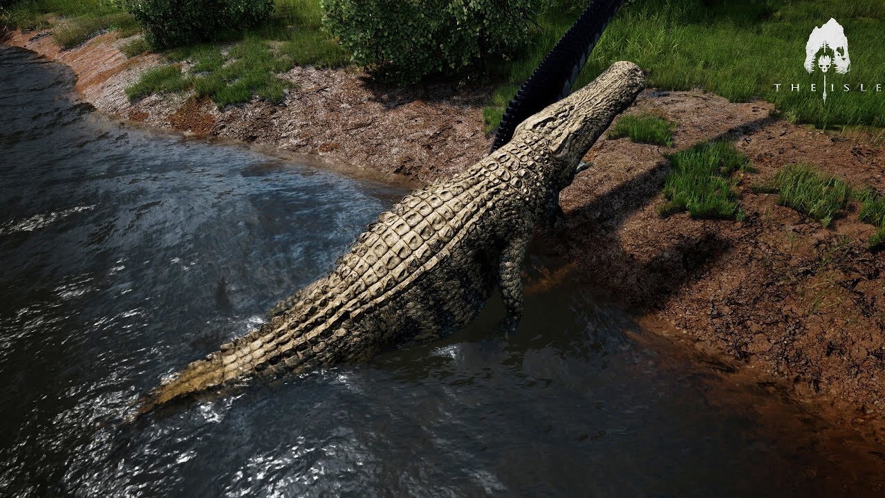 Wild Encounters | Deinosuchus gameplay | The Isle Evrima
