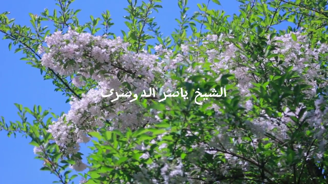 Surah al-Kahf | Yasser Al-Dosari | beautiful recitation.#quran #quranrecitation #islam 