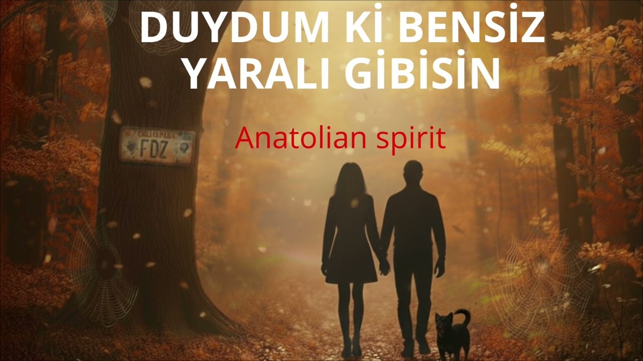 Duydum ki Bensiz Yaralı Gibisin-Anatolian rock  spirit (Caver)