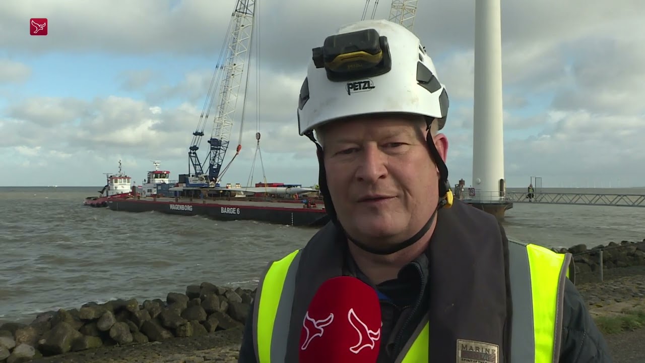 Windmolens in Lelystad zijn 'moe' tijd om ze te vervangen