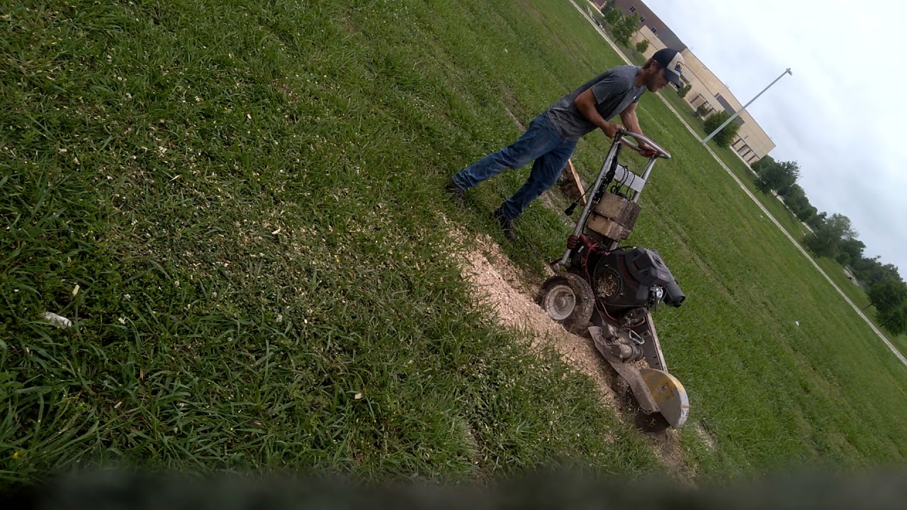 dosko stump grinder with 22hp predator