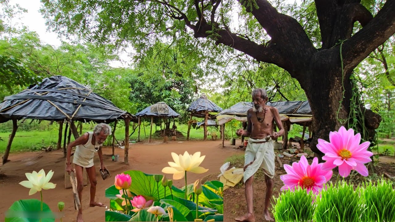 Chitrakoot बीहड़ जंगल में वृद्ध संत जी कर रहे तपस्या सिद्ध बाबा की कृपा