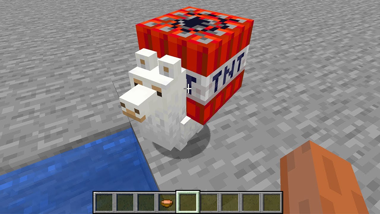 MOST CURSED MINECRAFT VIDEO (PART 3) BY SCOOBY CRAFT