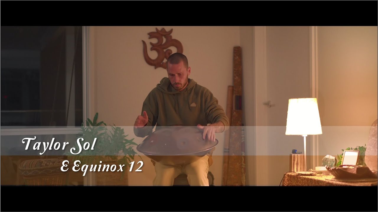 MrPans handpan - E Equinox 12 - Taylor Sol