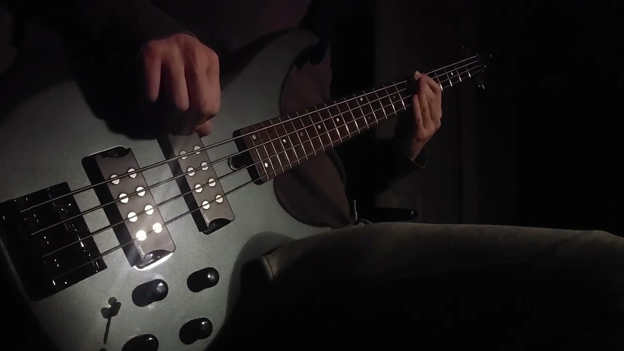 Turnstile - ALIEN LOVE CALL (Bass Cover)