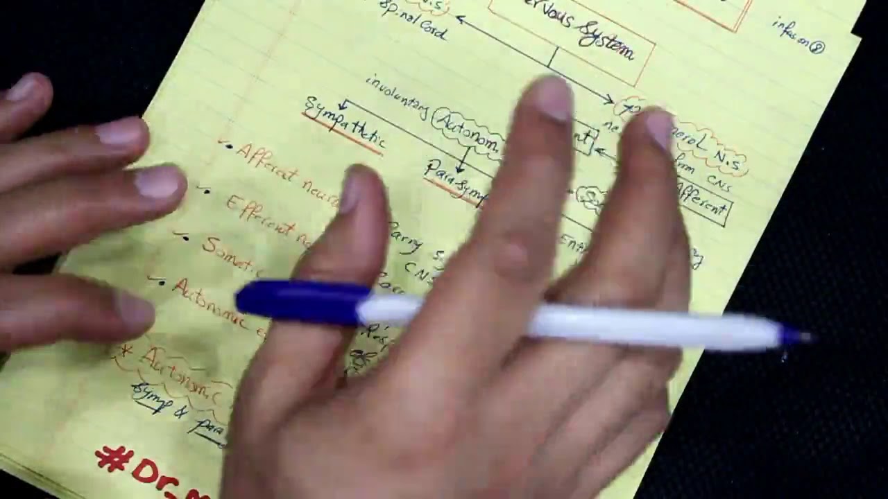 Autonomic Nervous System lect (1) - Introduction to ANS