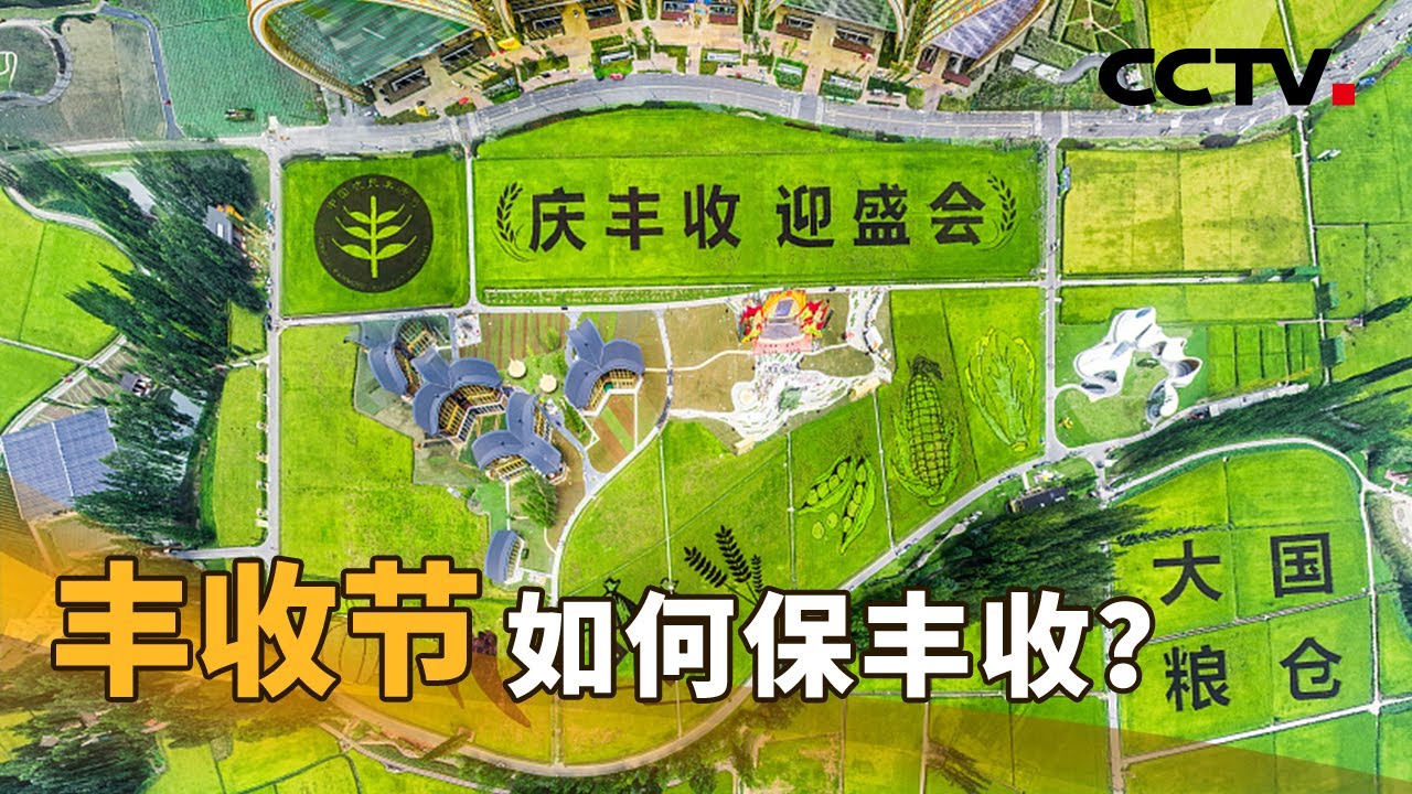 丰收节，我们如何保丰收？| CCTV「新闻1+1」20220922