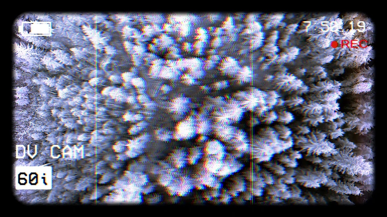 Exploring the Forests of Neptune